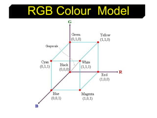 14
RGB Colour Model
 