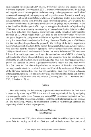 Crius: Angelo State Undergraduate Research Journal 25
have extracted environmental DNA (eDNA) from water samples and successfully am-
plified the fragments. Goldberg et al. (2011) emphasized that research into the ecology
and range of several stream species can be extremely challenging due to a multitude of
reasons such as complexity of topography and vegetation, water flow rates, low density
populations, and use of microhabitats, which are areas that are limited in size and have
a character that separate them from the larger surrounding terrain. Cave-dwelling Eu-
rycea use microhabitats found at the mouth of caves or springs and exist on the surface
at low densities. Goldberg et al. (2011) go on to suggest that detection of species using
eDNA could increase accuracy by comparing sequenced samples to a database and de-
crease field collection costs because researchers are simply collecting water samples.
Thomsen et al. (2012) suggest that eDNA may be the method by which researchers
can get to large-scale comparative validation of species distribution and abundance
in a quick, cost-effective and standardized way. However, Goldberg et al. (2011) cau-
tion that sampling design should be guided by the ecology of the target organism to
maximize chances of detection. In the case of this research, for example, water samples
were collected near the mouths of springs to increase detection chances. Pilliod et al.
(2014) explored several environmental factors that could influence eDNA detection:
different light and temperature conditions; the rate and amount of eDNA produced by
individuals; the effects of animal density and the amount of time the population has
spent in the area of detection. Their results supported what most other papers have sug-
gested, that detection of species is possible even after a species has only been present
for a few hours and that eDNA degrades beyond the point of detection within one to
two weeks and that rate is correlated to the condition of the environment. Ultimately,
all the literature examined suggests that eDNA methods have great promise to become
a standardized, sensitive tool that is widely used to document abundance and distribu-
tion of aquatic species over time and location (Goldberg et al., 2011; Thomsen et al.,
2012; Pilliod et al., 2014).
Purpose
	 After discovering that low density populations could be detected in fresh water
ecosystems by extracting eDNA from water, it was hypothesized that by designing
primers specific to the genus Eurycea and using eDNA procedures conducted by Fice-
tola et al. (2008) the presence or absence of the threatened salamander species Eurycea
sp.7 and Eurycea sp. 10 could be determined in the Devils River through detection and
sequencing of eDNA of the target species.
Materials and Methods
Field Methods
	 In the summer of 2013, three trips were taken to DRSNA-SU to capture live speci-
mens. Prior to entering the field, an effort was made to find a source that mapped all
 