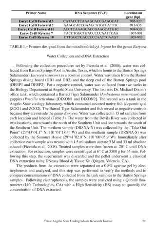 Crius: Angelo State Undergraduate Research Journal 27
TABLE 1.− Primers designed from the mitochondrial cyt-b gene for the genus Eurycea
Water Collection and eDNA Extraction
	 Following the collection procedures set by Ficetola et al. (2008), water was col-
lected from Barton Springs Pool in Austin, Texas, which is home to the Barton Springs
Salamander (Eurycea sosorum) as a positive control. Water was taken from the Barton
Springs diving board (DB1 and DB2) and the deep end of the Barton Springs pool
(DEEP1 and DEEP2). For a negative control, water was collected from two tanks in
the Biology Department at Angelo State University. The first was Dr. Michael Dixon’s
office tank, which contained a Barred Tiger Salamander (Ambystoma mavortium) and
guppies (Poecilia reticulata) [DIXON1 and DIXON2]. The second was a tank in the
Angelo State zoology laboratory, which contained assorted native fish (Lepomis sps)
[ZOO1 and ZOO2]. The Barred Tiger Salamander and fish served as negative controls
because they are outside the genus Eurycea. Water was collected in 15 ml samples from
each location and labeled (Table 3). The water from the Devils River was collected in
two locations, one towards the north of the Southern Unit and one towards the south of
the Southern Unit. The northern sample (DRSNA-N) was collected by the “Take-Out
Point” (29°43’01.1” N, 101°01’18.4” W) and the southern sample (DRSNA-S) was
collected by the Summer House (29°41’02.0”N, 101°00’05.9”W). Immediately after
collection each sample was treated with 1.5 ml sodium acetate 3 M and 33 ml absolute
ethanol (Ficetola et al., 2008). Treated samples were then frozen at -20° C until DNA
extraction. For extraction, samples were centrifuged at 6° C at 5500 g for 35 min. Fol-
lowing this step, the supernatant was discarded and the pellet underwent a classical
DNA extraction using DNeasy Blood & Tissue Kit (Qiagen, Valencia, CA).
	 The products from the extraction were separated on a 0.8% agarose gel by elec-
trophoresis and analyzed, and this step was performed to verify the methods and to
compare concentrations of DNA collected from the tank samples to the Barton Springs
samples. Following electrophoresis, the samples were analyzed using a Qubit® fluo-
rometer (Life Technologies, CA) with a High Sensitivity (HS) assay to quantify the
concentration of DNA extracted.
Table 1 
Primer Name DNA Sequence (5’-3’) Location on
gene (bp)
Euryc CytB Forward 3 CATACCTCAAAGCACCGAAGCAT 905-927
Euryc CytB Forward 7 AAAGCACCGAAGCATGTCATTTC 913-935
Euryc CytB Forward 10 ACCTCAAAGCACCGAAGCATGTC 908-930
Euryc CytB Reverse 7 TACCTGGCTGACCCCCAATTCAA 1007-991
Euryc CytB Reverse 10 CTTGGCTGACCCCCAATTCAAGT 1005-989
 
19 
 
 