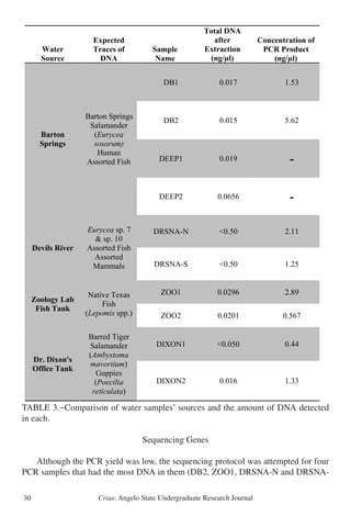 Crius: Angelo State Undergraduate Research Journal30
TABLE 3.−Comparison of water samples’ sources and the amount of DNA detected
in each.
Sequencing Genes
	 Although the PCR yield was low, the sequencing protocol was attempted for four
PCR samples that had the most DNA in them (DB2, ZOO1, DRSNA-N and DRSNA-
Table 3 
Water
Source
Expected
Traces of
DNA
Sample
Name
Total DNA
after
Extraction
(ng/µl)
Concentration of
PCR Product
(ng/µl)
DB1 0.017 1.53
DB2 0.015 5.62
DEEP1 0.019 -
Barton
Springs
Barton Springs
Salamander
(Eurycea
sosorum)
Human
Assorted Fish
DEEP2 0.0656 -
DRSNA-N <0.50 2.11
Devils River
Eurycea sp. 7
& sp. 10
Assorted Fish
Assorted
Mammals DRSNA-S <0.50 1.25
ZOO1 0.0296 2.89
Zoology Lab
Fish Tank
Native Texas
Fish
(Lepomis spp.) ZOO2 0.0201 0.567
DIXON1 <0.050 0.44
Dr. Dixon's
Office Tank
Barred Tiger
Salamander
(Ambystoma
mavortium)
Guppies
(Poecilia
reticulata)
DIXON2 0.016 1.33
 
22 
 
 