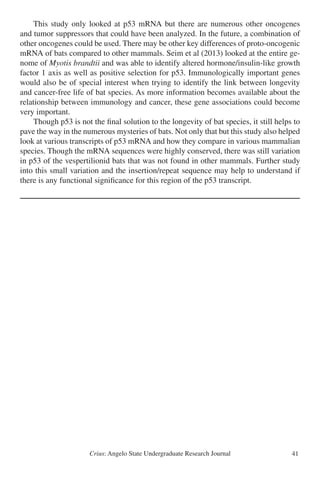 Crius: Angelo State Undergraduate Research Journal 41
	 This study only looked at p53 mRNA but there are numerous other oncogenes
and tumor suppressors that could have been analyzed. In the future, a combination of
other oncogenes could be used. There may be other key differences of proto-oncogenic
mRNA of bats compared to other mammals. Seim et al (2013) looked at the entire ge-
nome of Myotis brandtii and was able to identify altered hormone/insulin-like growth
factor 1 axis as well as positive selection for p53. Immunologically important genes
would also be of special interest when trying to identify the link between longevity
and cancer-free life of bat species. As more information becomes available about the
relationship between immunology and cancer, these gene associations could become
very important.
	 Though p53 is not the final solution to the longevity of bat species, it still helps to
pave the way in the numerous mysteries of bats. Not only that but this study also helped
look at various transcripts of p53 mRNA and how they compare in various mammalian
species. Though the mRNA sequences were highly conserved, there was still variation
in p53 of the vespertilionid bats that was not found in other mammals. Further study
into this small variation and the insertion/repeat sequence may help to understand if
there is any functional significance for this region of the p53 transcript.
 