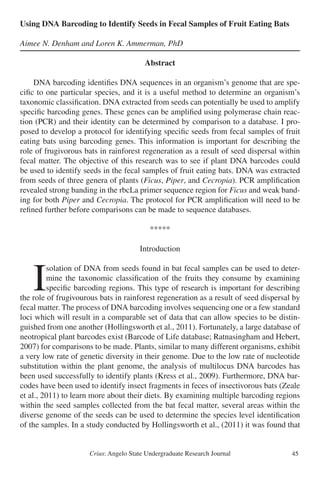 Crius: Angelo State Undergraduate Research Journal 45
Using DNA Barcoding to Identify Seeds in Fecal Samples of Fruit Eating Bats
Aimee N. Denham and Loren K. Ammerman, PhD
Abstract
	 DNA barcoding identifies DNA sequences in an organism’s genome that are spe-
cific to one particular species, and it is a useful method to determine an organism’s
taxonomic classification. DNA extracted from seeds can potentially be used to amplify
specific barcoding genes. These genes can be amplified using polymerase chain reac-
tion (PCR) and their identity can be determined by comparison to a database. I pro-
posed to develop a protocol for identifying specific seeds from fecal samples of fruit
eating bats using barcoding genes. This information is important for describing the
role of frugivorous bats in rainforest regeneration as a result of seed dispersal within
fecal matter. The objective of this research was to see if plant DNA barcodes could
be used to identify seeds in the fecal samples of fruit eating bats. DNA was extracted
from seeds of three genera of plants (Ficus, Piper, and Cecropia). PCR amplification
revealed strong banding in the rbcLa primer sequence region for Ficus and weak band-
ing for both Piper and Cecropia. The protocol for PCR amplification will need to be
refined further before comparisons can be made to sequence databases.
*****
Introduction
	I
solation of DNA from seeds found in bat fecal samples can be used to deter-
mine the taxonomic classification of the fruits they consume by examining
specific barcoding regions. This type of research is important for describing
the role of frugivourous bats in rainforest regeneration as a result of seed dispersal by
fecal matter. The process of DNA barcoding involves sequencing one or a few standard
loci which will result in a comparable set of data that can allow species to be distin-
guished from one another (Hollingsworth et al., 2011). Fortunately, a large database of
neotropical plant barcodes exist (Barcode of Life database; Ratnasingham and Hebert,
2007) for comparisons to be made. Plants, similar to many different organisms, exhibit
a very low rate of genetic diversity in their genome. Due to the low rate of nucleotide
substitution within the plant genome, the analysis of multilocus DNA barcodes has
been used successfully to identify plants (Kress et al., 2009). Furthermore, DNA bar-
codes have been used to identify insect fragments in feces of insectivorous bats (Zeale
et al., 2011) to learn more about their diets. By examining multiple barcoding regions
within the seed samples collected from the bat fecal matter, several areas within the
diverse genome of the seeds can be used to determine the species level identification
of the samples. In a study conducted by Hollingsworth et al., (2011) it was found that
 