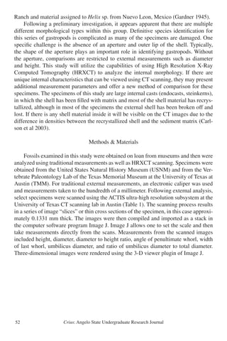 Crius: Angelo State Undergraduate Research Journal52
Ranch and material assigned to Helix sp. from Nuevo Leon, Mexico (Gardner 1945).
	 Following a preliminary investigation, it appears apparent that there are multiple
different morphological types within this group. Definitive species identification for
this series of gastropods is complicated as many of the specimens are damaged. One
specific challenge is the absence of an aperture and outer lip of the shell. Typically,
the shape of the aperture plays an important role in identifying gastropods. Without
the aperture, comparisons are restricted to external measurements such as diameter
and height. This study will utilize the capabilities of using High Resolution X-Ray
Computed Tomography (HRXCT) to analyze the internal morphology. If there are
unique internal characteristics that can be viewed using CT scanning, they may present
additional measurement parameters and offer a new method of comparison for these
specimens. The specimens of this study are large internal casts (endocasts, steinkerns),
in which the shell has been filled with matrix and most of the shell material has recrys-
tallized, although in most of the specimens the external shell has been broken off and
lost. If there is any shell material inside it will be visible on the CT images due to the
difference in densities between the recrystallized shell and the sediment matrix (Carl-
son et al 2003).
Methods & Materials
	 Fossils examined in this study were obtained on loan from museums and then were
analyzed using traditional measurements as well as HRXCT scanning. Specimens were
obtained from the United States Natural History Museum (USNM) and from the Ver-
tebrate Paleontology Lab of the Texas Memorial Museum at the University of Texas at
Austin (TMM). For traditional external measurements, an electronic caliper was used
and measurements taken to the hundredth of a millimeter. Following external analysis,
select specimens were scanned using the ACTIS ultra-high resolution subsystem at the
University of Texas CT scanning lab in Austin (Table 1). The scanning process results
in a series of image “slices” or thin cross sections of the specimen, in this case approxi-
mately 0.1331 mm thick. The images were then compiled and imported as a stack in
the computer software program Image J. Image J allows one to set the scale and then
take measurements directly from the scans. Measurements from the scanned images
included height, diameter, diameter to height ratio, angle of penultimate whorl, width
of last whorl, umbilicus diameter, and ratio of umbilicus diameter to total diameter.
Three-dimensional images were rendered using the 3-D viewer plugin of Image J.
 
