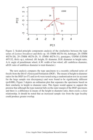 Crius: Angelo State Undergraduate Research Journal 55
Figure 2. Scaled principle components analysis of the similarities between the type
series of Lysinoe breedlovei and Helix sp. 16 (TMM 40276-16), holotype; 28 (TMM
40276-28), 29 (TMM 40276-29, 31 (TMM 40276-31), paratypes; USNM (USNM
497132, Helix sp.), referred. (H: height, D: diameter, D.H: diameter to height ratio,
A.A: angle of penultimate whorl, A.W: width of last whorl, uD: umbilicus diameter,
uD.D: ratio of umbilicus diameter to total diameter.)
	 The next analysis compares the type specimens to a recently collected series of
fossils from the Devil’s Graveyard Formation (DGF). The means of height to diameter
ratios for the DGF (n=37) and (n=4) were tested using a randomization test (to account
for the large sample size discrepancy) and were found to be significantly different
(p<0.008). Figure 3 depicts an ordination plot that separates the specimens based on
their similarity in height to diameter ratio. This figure would appear to support the
premise that although the type material falls on the outer margin of the DGF specimens
and there is a difference in means of the height to diameter ratio, there exists a close
relationship. It should be noted that an increased sample size from the type locality
could produce greater overlap.
Figure 2.
 