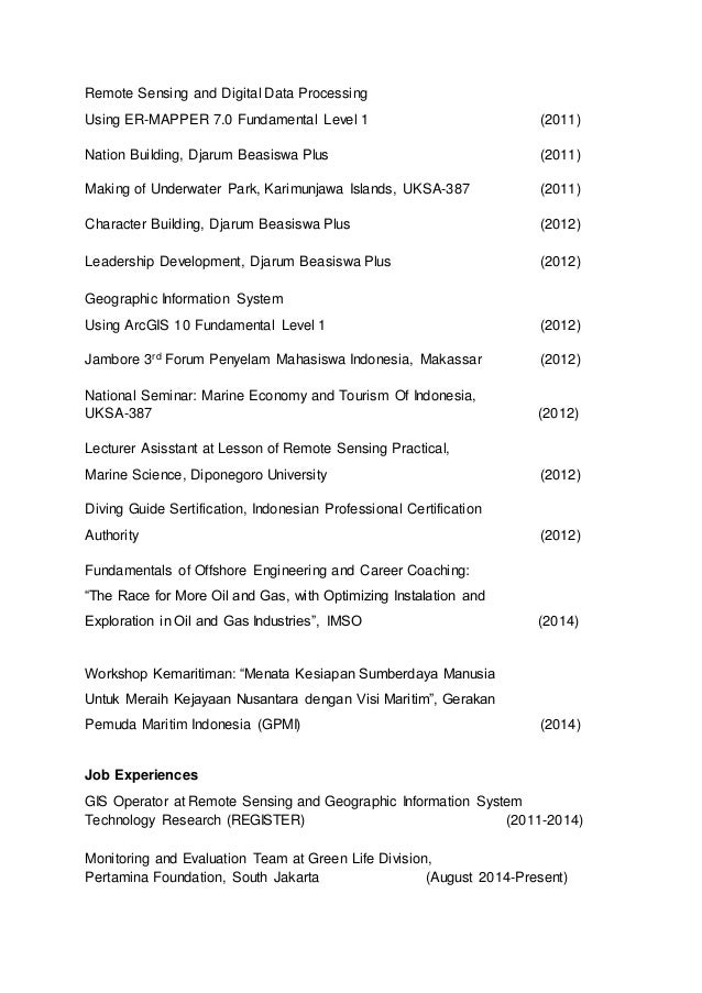 Curriculum vitae examples pdf picture