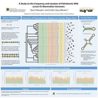 Citations
A Study on the Frequency and Location of Palindromic DNA
across 41 Mammalian Genomes
Devin Petersohn1 and Chi-Ren Shyu (Mentor)1,2
1Department of Computer Science, College of Engineering, 2MU Informatics Institute, University of Missouri
0.00%
0.02%
0.04%
0.06%
0.08%
0.10%
0.12%
0.14%
0.16%
0.18%
0.20%
0.22%
0.24%
1 2A 2B 3 4 5 6 7 8 9 10 11 12 13 14 15 16 17 18 19 20 21 22 X Y
Percentofchromosome
Chromosome number
Chimpanzee Palindromes as a Percent of Entire
Genome
AT TA CG GC
0.00%
0.02%
0.04%
0.06%
0.08%
0.10%
0.12%
0.14%
0.16%
0.18%
0.20%
0.22%
0.24%
1 2B 3 4 5 6 7 8 9 10 11 12 13 14 15 16 17 18 19 20 21 22 X Y
Percentofchromosome
Chromosome number
Human Palindromes as a Percent of Entire Genome
AT TA CG GC
0.00%
0.02%
0.04%
0.06%
0.08%
0.10%
0.12%
0.14%
0.16%
0.18%
0.20%
0.22%
0.24%
1 2B 3 4 5 6 7 8 9 10 11 12 13 14 15 16 17 18 X Y
Percentofchromosome
Chromosome number
Wild Boar Palindromes as a Percent of Entire Genome
AT TA CG GC
0.00%
0.02%
0.04%
0.06%
0.08%
0.10%
0.12%
0.14%
0.16%
0.18%
0.20%
0.22%
0.24%
1 2B 3 4 5 6 7 8 9 10111213141516171819202122232425262728293031 X
Percentofchromosome
Chromosome number
Horse Palindromes as a Percent of Entire Genome
AT TA CG GC
What is a Palindrome?
Palindrome Locations and Frequencies are not Random
A Palindrome is a word that spells itself
backwards. For example:
racecar
Spelled backwards, racecar spells racecar,
therefore it is a palindrome.
In DNA, palindromes are patterns that are
read the same way forwards and
backwards. Because DNA is double
stranded, however, palindromes within
DNA are different than palindromes in
language. For example:
5’ 3’
DNA is read from 5’ to 3’ on each strand. It
also pairs such that A pairs with T and C
pairs with G. If we were to look at both
strands together, they would look like this:
5’ 3’
3’ 5’
If you read the bottom strand from 5’ to 3’,
it is the exact same as the opposite strand.
Thus, a palindrome is a sequence that is its
own reverse complement.
Percent of Palindromes Based on Center Base Pairs Why Study Palindromes?
Acknowledgements
• Palindromes have been shown to form
interesting structures in DNA.
• Hairpin Structures:
• Cruciform Structures:
• Palindromes have also been shown to be
involved in certain diseases and cancers.
• The mutation rate within “almost”
palindromes has been shown to be 300x
the normal mutation rate.
• These sequences are strongly
selected toward being
palindromic
• Palindromes have also been shown to
have regulatory functions, and also have
functions within binding sites.
[1] Glickman, Barry W., and Lynn S. Ripley. "Structural intermediates of deletion mutagenesis: a role for palindromic DNA." Proceedings of
the National Academy of Sciences 81.2 (1984): 512-516.
[2] Tanaka, Hisashi, et al. "Large DNA palindromes as a common form of structural chromosome aberrations in human cancers." Human
cell 19.1 (2006): 17-23.
This Project was funded by the MU Engineering Undergraduate Honors Scholar in Research Program
 