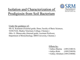 Isolation and Characterization of
Prodigiosin from Soil Bacterium
Under the guidance of-
•Dr. K. Kumanan (External guide; Dean, Faculty of Basic Sciences,
TANUVAS, Madras Veterinary College, Chennai.)
•Mrs. G. Dhanavathy (Internal guide; Assistant Professor,
Department of Biotechnology, SRM University, Chennai.)
Efforts by-
• Aditya Sharma (1091210015)
• Aditya Rishi (1091210038)
• Ashley Abraham (1091210040)
 