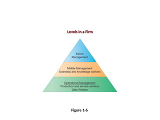 Figure 1-6
Levels in a Firm
Levels in a Firm
 