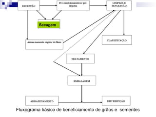 Fluxograma básico de beneficiamento de grãos e sementes
Secagem
 