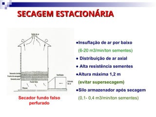 SECAGEM ESTACIONÁRIA
SECAGEM ESTACIONÁRIA
●Insuflação de ar por baixo
(6-20 m3/min/ton sementes)
● Distribuição de ar axial
● Alta resistência sementes
●Altura máxima 1,2 m
(evitar supersecagem)
●Silo armazenador após secagem
(0,1- 0,4 m3/min/ton sementes)
Secador fundo falso
perfurado
 