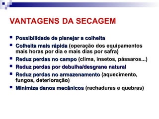 VANTAGENS DA SECAGEM
 Possibilidade de planejar a colheita
Possibilidade de planejar a colheita
 Colheita mais rápida
Colheita mais rápida (operação dos equipamentos
(operação dos equipamentos
mais horas por dia e mais dias por safra)
mais horas por dia e mais dias por safra)
 Reduz perdas no campo
Reduz perdas no campo (clima, insetos, pássaros...)
(clima, insetos, pássaros...)
 Reduz perdas por debulha/desgrane natural
Reduz perdas por debulha/desgrane natural
 Reduz perdas no armazenamento
Reduz perdas no armazenamento (aquecimento,
(aquecimento,
fungos, deterioração)
fungos, deterioração)
 Minimiza danos mecânicos
Minimiza danos mecânicos (rachaduras e quebras)
(rachaduras e quebras)
 