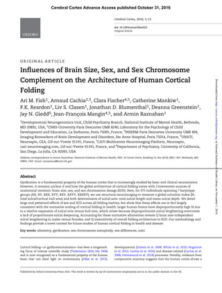 Cerebral Cortex, 2016; 1–11
doi: 10.1093/cercor/bhw323
Original Article
O R I G I N A L A R T I C L E
Inﬂuences of Brain Size, Sex, and Sex Chromosome
Complement on the Architecture of Human Cortical
Folding
Ari M. Fish1, Arnaud Cachia2,3, Clara Fischer4,5, Catherine Mankiw1,
P.K. Reardon1, Liv S. Clasen1, Jonathan D. Blumenthal1, Deanna Greenstein1,
Jay N. Giedd6, Jean-François Mangin4,5, and Armin Raznahan1
1
Developmental Neurogenomics Unit, Child Psychiatry Branch, National Institute of Mental Health, Bethesda,
MD 20892, USA, 2
CNRS-University Paris Descartes UMR 8240, Laboratory for the Psychology of Child
Development and Education, La Sorbonne, Paris 75005, France, 3
INSERM-Paris Descartes University UMR 894,
Imaging Biomarkers of Brain Development and Disorders, Ste Anne Hospital, Paris 75014, France, 4
UNATI,
Neurospin, CEA, Gif-sur-Yvette 91191, France, 5
CATI Multicenter Neuroimaging Platform, Neurospin,
cati-neuroimaging.com, Gif-sur-Yvette 91191, France, and 6
Department of Psychiatry, University of California,
San Diego, La Jolla, CA 92093, USA
Address correspondence to Armin Raznahan, National Institute of Mental Health, NIH, 10 Center Drive, Building 10, Rm 4D18, MSC 1367, Bethesda, MD
20892, USA. Email: raznahana@mail.nih.gov
Abstract
Gyriﬁcation is a fundamental property of the human cortex that is increasingly studied by basic and clinical neuroscience.
However, it remains unclear if and how the global architecture of cortical folding varies with 3 interwoven sources of
anatomical variation: brain size, sex, and sex chromosome dosage (SCD). Here, for 375 individuals spanning 7 karyotype
groups (XX, XY, XXX, XYY, XXY, XXYY, XXXXY), we use structural neuroimaging to measure a global sulcation index (SI,
total sulcal/cortical hull area) and both determinants of sulcal area: total sulcal length and mean sulcal depth. We detail
large and patterned effects of sex and SCD across all folding metrics, but show that these effects are in fact largely
consistent with the normative scaling of cortical folding in health: larger human brains have disproportionately high SI due
to a relative expansion of sulcal area versus hull area, which arises because disproportionate sulcal lengthening overcomes
a lack of proportionate sulcal deepening. Accounting for these normative allometries reveals 1) brain size-independent
sulcal lengthening in males versus females, and 2) insensitivity of overall folding architecture to SCD. Our methodology and
ﬁndings provide a novel context for future studies of human cortical folding in health and disease.
Key words: allometry, gyriﬁcation, sex chromosome aneuploidy, sex differences, sulci
Cortical folding—or gyriﬁcation/sulcation—has been a longstand-
ing focus of intense scientiﬁc study (Tiedemann 1816; His 1904)
and is now recognized as a fundamental property of the human
brain that can shed light on evolutionary (Zilles et al. 2013),
developmental (Dubois et al. 2008; White et al. 2010; Hogstrom
et al. 2012; Cachia et al. 2016) and disease-related (Cachia et al.
2008; Germanaud et al. 2014) processes. Notably, evidence from
comparative anatomy suggests that the human cortex shows a
Published by Oxford University Press 2016. This work is written by (a) US Government employee(s) and is in the public domain in the US.
Cerebral Cortex Advance Access published October 31, 2016
atNationalInstitutesofHealthLibraryonNovember1,2016http://cercor.oxfordjournals.org/Downloadedfrom
 