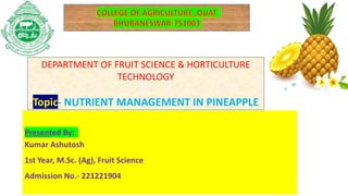 DEPARTMENT OF FRUIT SCIENCE & HORTICULTURE
TECHNOLOGY
Topic- NUTRIENT MANAGEMENT IN PINEAPPLE
Presented By:
Kumar Ashutosh
1st Year, M.Sc. (Ag), Fruit Science
Admission No.- 221221904
 