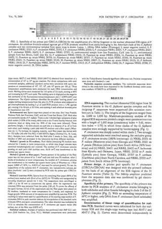 Schweigkofler-Fusarium2004