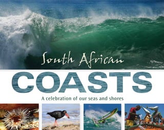 A celebration of our seas and shores
South African
 