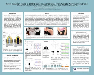 Materials and Methods
 
Novel mutation found in CHRNG gene in an individual with Multiple Pterygium Syndrome
Whitney S. Best1
, Kathryn M. Bofferding1
, Margaret J. McMillin1,2
, Anita E. Beck1,2
, PhD MD and Michael J. Bamshad1,2,3
, MD
1
Department of Pediatrics, University of Washington, Seattle WA
2
Seattle Children’s Hospital, Seattle, WA
3
Department of Genome Sciences, University of Washington, Seattle WA
The gene Acetylcholine Receptor Gamma Subunit (CHRNG) encodes for the gamma (γ) subunit of the acetylcholine receptor (AChR).
The AChR is a cell membrane receptor located in cells of the neuromuscular junction. The γ subunit is present during fetal
development and is displaced by the episilon (ε) subunit at thirty-three weeks gestation. Disruption of the γ subunit inhibits
controlled muscle contractions of the developing fetus. Previous studies of individuals with Multiple Pterygium Syndrome (MPS), also
called Escobar syndrome, have reported nonsense, missense, and frameshift mutations in CHRNG. MPS is typically inherited in an
autosomal recessive manner; affected offspring inherit two mutations, one from each parent, who are both carriers. In this study, a
family with a known CHRNG mutation in exon 5 was used as a positive control. We found a previously unreported single-base pair
insertion (c.1083-1084insC, p.361fs*55) in exon 10 in the MPS individual from family one. This change was inherited from the
individual’s unaffected father, and it is unclear if the mutation may be pathogenic. Additionally, we identified a previously reported
two-base pair deletion (c.753-754delCT, p.251fs*46) in the MPS individual of family two. The possible inheritance of this mutation is
unable to be verified due to lack of parental DNA available for sequencing. In both affected individuals only a single mutation was
found, but further screening of the promoter or intronic region of CHRNG may lead to the finding of a second causative mutation.
Figure 2. Pterygia and muscle contractures in Multiple Pterygium Syndrome individuals
(A) Pterygia on the underside of both arms. (B) Pterygia located behind the knee. (C) Muscle contractures in all ten digits of individual.*The photos above are
of individuals diagnosed with MPS. However, they are not the individuals in whom mutations were found in this experiment. They are to illustrate the pterygium phenotype and
muscle contractures.
B C
Acknowledgements
Introduction
Hoffman, Katrin. "Escobar Syndrome is a Prenatal
Myasthenia caused by Disruption of the Acetylcholine
Receptor Fetal Gamma Subunit." The American Journal
of Human Genetics  8 2006. 10. www.ajhg.org.
McKinley , O'Loughlin. Breakdown of ATP and Cross-
bridge Movement during Muscle Contraction. McGraw-
Hill Higher
Education. 8/2/11 <http://highered.mcgraw-
hill.com/novella/MixQuizProcessingServlet>. 
 
Vogt, Julie. "Mutation Analysis of CHRNA1, CHRNB1,
CHRND, and RAPSN Genes in Multiple Pterygium
Syndrome/Fetal Akinesia Patients ." The American
Journal of Human Genetics  01 2008: 222-227.  
 
Morgan, Neil. "Mutations in the Embryonal Subunit of
the Acetylcholine Receptor (CHRNG) Cause Lethal and
Escobar Variants of Multiple Pterygium Syndrome." The
American Journal of Human Genetics  08 2006: 390-
395. 
Literature Cited
Figure 1. Structure of Acetylcholine Receptor (AChR) in fetal and
adult muscle cells. The γ subunit in fetal AChR is replaced by, and
will remain, the ε subunit after thirty-weeks of gestation. CHRNG
encodes the gamma subunit of the acetylcholine receptor.
Conclusion
Figure 3. Family 1-MPS pedigree and exon 10
electropherograms Child affected with MPS and unaffected
father each have the heterozygous insertion
c.1083_1084insC. No mutations were identified in the
unaffected mother. DNA was not available from unaffected
sibling.
I-2
I-1
II-11
1 2
I.
II.
+/-
+/- -/-
Family 1
Exon 10 c.1083_1084insC
Figure 5. Family 3-Escobar pedigree and exon 5
electropherograms Unaffected father and mother are
heterozygous while both affected children are homozygous for the
single base-pair insertion c.312_313insA.
Family 3 – (CHRNG positive control)
Exon 5 c.312_313insA
II.
I-1
II-1
I-2
II-2
Figure 4. Family 2-MPS pedigree and exon 7
electropherograms Child affected with MPS and
heterozygous for c.753-754delCT. DNA was not available
from both unaffected parents. A control DNA chromatogram
is shown for comparison.
Family 2
Exon 7 c.753-754delCT
II-1
Control
Results
Abstract
Special thanks to my mentor, Kathryn
Bofferding, for being incredibly patient and
guiding me through my research project. Thank
you to Dr. Michael Bamshad (PI) for granting me
the opportunity to work and learn in the
Bamshad lab. Also, thank you to everyone in the
Bamshad lab and to my lab mates for supporting
and aiding me through my research.
 
This research was supported by University of
Washington STAR Program (67-3473)
•No mutations were identified in the exons of
CHRNG in any of the individuals with DA5D, SHS
or NAC. Therefore, it is unlikely that CHRNG is
responsible for the overlap in clinical features of
these diagnoses and features of MPS.
•Of the nine individuals with MPS, mutations
were identified in two individuals. It is unclear if
these mutations are pathogenic.
•It is possible that large-scale deletions or
duplications, which would not be detected in the
sequence read, may have occurred. Such
deletions or duplications may be detected by
future research, and screening of intronic and
promoter regions may also yield causative
pterygia mutations.
Multiple Pterygium Syndrome (MPS), also known as
Escobar Syndrome, is a disorder characterized by
muscle contractures, pterygia, and respiratory
complications. Mutations in the gene CHRNG, which
encodes the gamma (γ) subunit of the acetylcholine
receptor, have been reported in individuals with
MPS and in 30% of cases of the lethal form of MPS. In
this experiment, CHRNG was screened in 29
individuals with distal limb contractures and
variable diagnoses: MPS n=10, Sheldon Hall
Syndrome (SHS) n=6, distal arthrogryposis type 5D
(DA5D) n=8, and individuals with neurologic
abnormalities and distal contractures that do not
have a specific diagnosis (NAC) n=5. Each of these
diagnoses have features that overlap with other case
reports in which mutations in CHRNG have been
identified.
•DNA samples were collected from ten MPS
individuals, eight DA5D, six SHS individuals and five
NAC.
•Primers were designed to capture each of the 13
exons of CHRNG in all twenty-nine individuals.
•Sanger sequencing was performed on each sample
for the 13 exons of CHRNG.
•Electropherograms of sequence reads were aligned
in the computer software Codon Code.
•Mutations were determined by comparison to a
control DNA and a reference sequence from the
Ensembl database (GRCh37)
1
1 2
I.
II.
+/-
1
2
I.
+/+
+/- +/-
+/+
2
1
A B C
c.1083-1084insCc.753-754delCT
1 112 104 12953 76 8 13

CHRNG Gene
Figure 6. Diagram of CHRNG Exons 1-11 are shown in blue. Untranslated exons 12-13 are
shown in orange. Mutations found in this screen of CHRNG are indicated above their
corresponding exons.
Affected female and male
Unaffected female and male
Homozygous for mutation
Heterozygous for mutation
Homozygous for wild type
Key
+/-
-/-
+/+
 