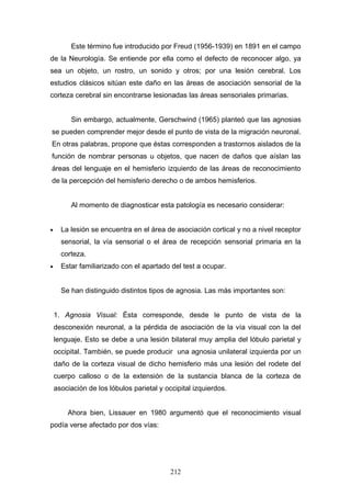 Este término fue introducido por Freud (1956-1939) en 1891 en el campo
de la Neurología. Se entiende por ella como el defecto de reconocer algo, ya
sea un objeto, un rostro, un sonido y otros; por una lesión cerebral. Los
estudios clásicos sitúan este daño en las áreas de asociación sensorial de la
corteza cerebral sin encontrarse lesionadas las áreas sensoriales primarias.


         Sin embargo, actualmente, Gerschwind (1965) planteó que las agnosias
se pueden comprender mejor desde el punto de vista de la migración neuronal.
En otras palabras, propone que éstas corresponden a trastornos aislados de la
función de nombrar personas u objetos, que nacen de daños que aíslan las
áreas del lenguaje en el hemisferio izquierdo de las áreas de reconocimiento
de la percepción del hemisferio derecho o de ambos hemisferios.


         Al momento de diagnosticar esta patología es necesario considerar:


•     La lesión se encuentra en el área de asociación cortical y no a nivel receptor
      sensorial, la vía sensorial o el área de recepción sensorial primaria en la
      corteza.
•     Estar familiarizado con el apartado del test a ocupar.


      Se han distinguido distintos tipos de agnosia. Las más importantes son:


    1. Agnosia Visual: Ésta corresponde, desde le punto de vista de la
    desconexión neuronal, a la pérdida de asociación de la vía visual con la del
    lenguaje. Esto se debe a una lesión bilateral muy amplia del lóbulo parietal y
    occipital. También, se puede producir una agnosia unilateral izquierda por un
    daño de la corteza visual de dicho hemisferio más una lesión del rodete del
    cuerpo calloso o de la extensión de la sustancia blanca de la corteza de
    asociación de los lóbulos parietal y occipital izquierdos.


        Ahora bien, Lissauer en 1980 argumentó que el reconocimiento visual
podía verse afectado por dos vías:




                                           212
 