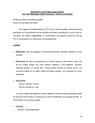 RECUENTO ANÁTOMO-FISIOLÓGICO
               DE LOS ÓRGANOS OROFACIALES Y ARTICULATORIOS

Profesora: María Fernanda Agudelo
Fecha: 22 de Marzo del 2002


           Los órganos fonoarticulatorios (O.F.A) son todas aquellas estructuras que
participan en la producción de los sonidos del habla (articulación) y que le dan al
mensaje una mayor inteligibilidad. A continuación se presenta cada uno de los
O.F.A, de acuerdo a su estructura, funcionalidad etc.


LABIOS


•       Definición: Son dos pliegues musculomembranosos, flexibles, elásticos y muy
        móviles.


•       Estructura: El labio se compone por un labio superior y otro inferior, cada uno
        de los cuales posee una cara anterior cutánea y una posterior, mucosa.
        Además poseen un borde libre. Ambos labios forman el orificio bucal y la
        comisura labial; en la parte media del labio superior, se encuentra el surco
        subnasal.


•       Inervación:
           Porción Motora: VII par.
           Porción Sensitiva: V par.


        La rama maxilar del trigémino, inerva desde la comisura de los párpados hasta
la comisura de los labios. En tanto que la rama mandibular, se encarga de toda la
zona inferior a la comisura labial.


•       Función:
    -    Succión. (prioritariamente)


                                                                                    40
 