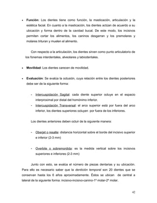 •   Función: Los dientes tiene como función, la masticación, articulación y la
    estética facial. En cuanto a la masticación, los dientes actúan de acuerdo a su
    ubicación y forma dentro de la cavidad bucal. De este modo, los incisivos
    permiten cortar los alimentos, los caninos desgarran y los premolares y
    molares trituran y muelen el alimento.


        Con respecto a la articulación, los dientes sirven como punto articulatorio de
    los fonemas interdentales, alveolares y labiodentales.


•   Movilidad: Los dientes carecen de movilidad.


•   Evaluación: Se evalúa la oclusión, cuya relación entre los dientes posteriores
    debe ser de la siguiente forma:


        -   Intercuspidación Sagital: cada diente superior ocluye en el espacio
            interproximal por distal del homónimo inferior.
        -   Intercuspidación Transversal: el arco superior está por fuera del arco
            inferior, los dientes superiores ocluyen por fuera de los inferiores.


        Los dientes anteriores deben ocluir de la siguiente manera:


        -   Oberjet o resalte: distancia horizontal sobre el borde del incisivo superior
            e inferior (2-3 mm)


        -   Overbite o sobremordida: es la medida vertical sobre los incisivos
            superiores e inferiores (2-3 mm)


        Junto con esto, se evalúa el número de piezas dentarias y su ubicación.
Para ello es necesario saber que la dentición temporal son 20 dientes que se
conservan hasta los 6 años aproximadamente. Éstos se ubican               de central a
lateral de la siguiente forma: incisivo-incisivo-canino-1º molar-2º molar.


                                                                                     42
 