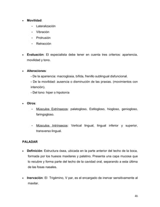 •   Movilidad:
       -     Lateralización
       -     Vibración
       -     Protrusión
       -     Retracción


•   Evaluación: El especialista debe tener en cuenta tres criterios: apariencia,
    movilidad y tono.


•   Alteraciones:
      - De la apariencia: macroglosia, bífida, frenillo sublingual disfuncional.
      - De la movilidad: ausencia o disminución de las praxias. (movimientos con
      intención).
      - Del tono: hiper o hipotonía


•   Otros:
       -     Músculos Extrínsecos: palatogloso, Estilogloso, hiogloso, geniogloso,
             faringogloso.


       -     Músculos Intrínsecos: Vertical lingual, lingual inferior y superior,
             transverso lingual.


PALADAR

•   Definición: Estructura ósea, ubicada en la parte anterior del techo de la boca,
    formada por los huesos maxilares y palatino. Presenta una capa mucosa que
    lo recubre y forma parte del techo de la cavidad oral, separando a esta última
    de las fosas nasales.


•   Inervación: El Trigémino, V par, es el encargado de inervar sensitivamente al
    maxilar.



                                                                                   46
 