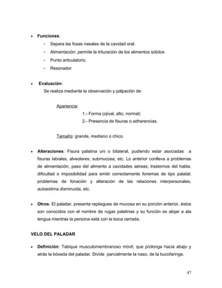 •   Funciones:
       -   Separa las fosas nasales de la cavidad oral.
       -   Alimentación: permite la trituración de los alimentos sólidos
       -   Punto articulatorio.
       -   Resonador


•   Evaluación:
       Se realiza mediante la observación y palpación de:


              Apariencia:
                            1.- Forma (ojival, alto, normal)
                            2.- Presencia de fisuras o adherencias.


              Tamaño: grande, mediano o chico.


•   Alteraciones: Fisura palatina uni o bilateral, pudiendo estar asociadas        a
    fisuras labiales, alveolares, submucosa, etc. Lo anterior conlleva a problemas
    de alimentación, paso del alimento a cavidades aéreas; trastornos del habla,
    dificultad o imposibilidad para emitir correctamente fonemas de tipo palatal;
    problemas de fonación y alteración de las relaciones interpersonales,
    autoestima disminuida, etc.


•   Otros: El paladar, presenta repliegues de mucosa en su porción anterior, éstos
    son conocidos con el nombre de rugas palatinas y su función es alojar a ala
    lengua mientras la persona está con la boca cerrada.


VELO DEL PALADAR

•   Definición: Tabique musculomembranoso móvil, que prolonga hacia abajo y
    atrás la bóveda del paladar. Divide parcialmente la naso, de la bucofaringe.



                                                                                   47
 