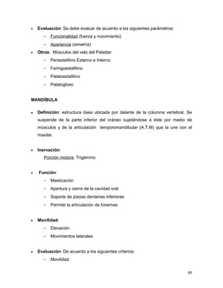 •   Evaluación: Se debe evaluar de acuerdo a los siguientes parámetros:
       -   Funcionalidad (fuerza y movimiento)
       -   Apariencia (simetría)
•   Otros: Músculos del velo del Paladar:
       -   Periestafilino Externo e Interno
       -   Faringoestafilino
       -   Palatoestafilino
       -   Palatogloso


MANDÍBULA

•   Definición: estructura ósea ubicada por delante de la columna vertebral. Se
    suspende de la parte inferior del cráneo sujetándose a éste por medio de
    músculos y de la articulación temporomandibular (A.T.M) que la une con el
    maxilar.


•   Inervación:
       Porción motora: Trigémino


•   Función:
       -   Masticación
       -   Apertura y cierre de la cavidad oral
       -   Soporte de piezas dentarias inferiores
       -   Permite la articulación de fonemas


•   Movilidad:
       -   Elevación
       -   Movimientos laterales


•   Evaluación: De acuerdo a los siguientes criterios:
       -   Movilidad


                                                                            49
 