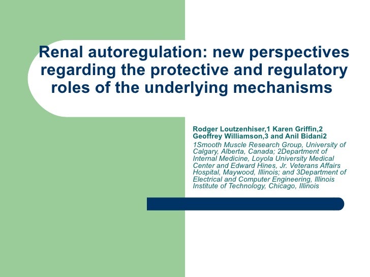 underlying mechanisms involved in muscle
