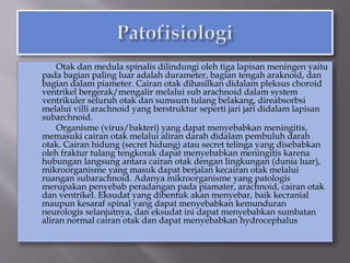 Otak dan medula spinalis dilindungi oleh tiga lapisan meningen yaitu
pada bagian paling luar adalah durameter, bagian tengah araknoid, dan
bagian dalam piameter. Cairan otak dihasilkan didalam pleksus choroid
ventrikel bergerak/mengalir melalui sub arachnoid dalam system
ventrikuler seluruh otak dan sumsum tulang belakang, direabsorbsi
melalui villi arachnoid yang berstruktur seperti jari jari didalam lapisan
subarchnoid.
Organisme (virus/bakteri) yang dapat menyebabkan meningitis,
memasuki cairan otak melalui aliran darah didalam pembuluh darah
otak. Cairan hidung (secret hidung) atau secret telinga yang disebabkan
oleh fraktur tulang tengkorak dapat menyebabkan meningitis karena
hubungan langsung antara cairan otak dengan lingkungan (dunia luar),
mikroorganisme yang masuk dapat berjalan kecairan otak melalui
ruangan subarachnoid. Adanya mikroorganisme yang patologis
merupakan penyebab peradangan pada piamater, arachnoid, cairan otak
dan ventrikel. Eksudat yang dibentuk akan menyebar, baik kecranial
maupun kesaraf spinal yang dapat menyebabkan kemunduran
neurologis selanjutnya, dan eksudat ini dapat menyebabkan sumbatan
aliran normal cairan otak dan dapat menyebabkan hydrocephalus
 