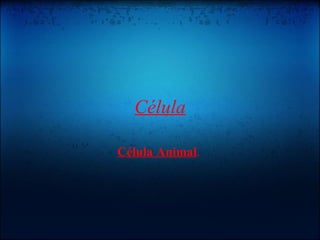 Célula Célula Animal . 