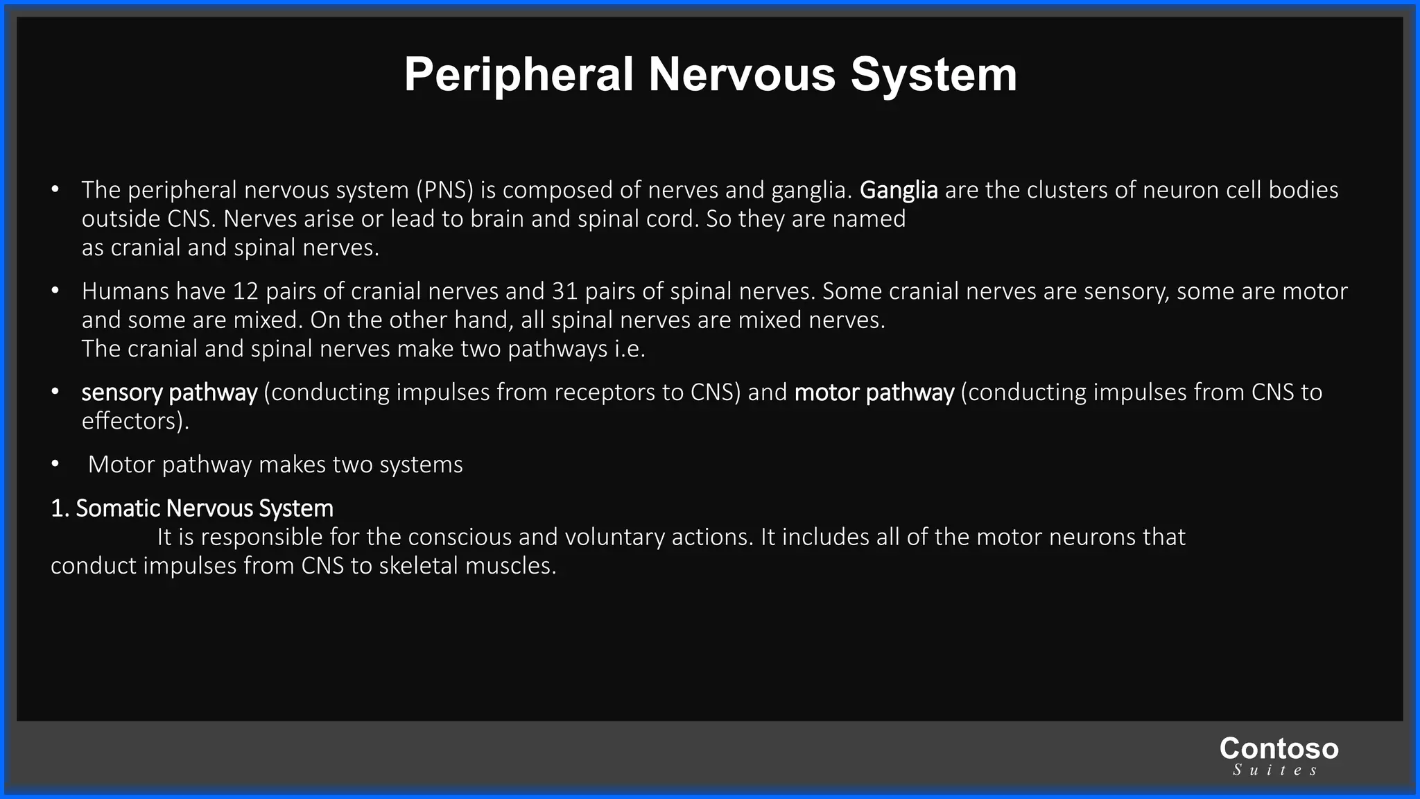 Contoso
S u i t e s
Peripheral Nervous System
• The peripheral nervous system (PNS) is composed of nerves and ganglia. Ganglia are the clusters of neuron cell bodies
outside CNS. Nerves arise or lead to brain and spinal cord. So they are named
as cranial and spinal nerves.
• Humans have 12 pairs of cranial nerves and 31 pairs of spinal nerves. Some cranial nerves are sensory, some are motor
and some are mixed. On the other hand, all spinal nerves are mixed nerves.
The cranial and spinal nerves make two pathways i.e.
• sensory pathway (conducting impulses from receptors to CNS) and motor pathway (conducting impulses from CNS to
eﬀectors).
• Motor pathway makes two systems
1. Somatic Nervous System
It is responsible for the conscious and voluntary actions. It includes all of the motor neurons that
conduct impulses from CNS to skeletal muscles.
 