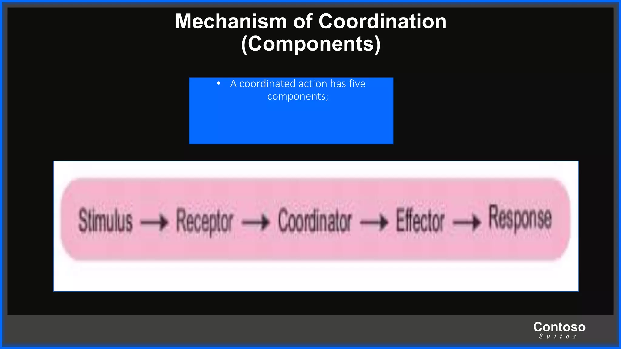 Contoso
S u i t e s
Mechanism of Coordination
(Components)
• A coordinated action has five
components;
 