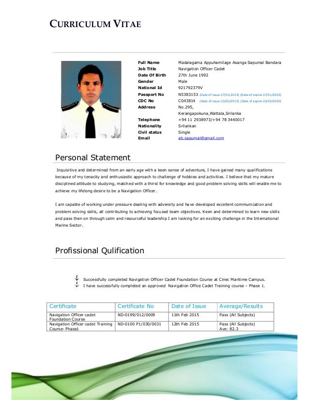 Professional cv pdf