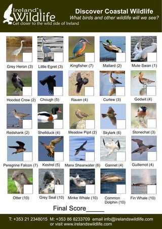 Ireland’s
WildlifeGet closer to the wild side of Ireland
Discover Coastal Wildlife
What birds and other wildlife will we see?
Grey Heron (3) Little Egret (3) Kingﬁsher (7) Mallard (2) Mute Swan (1)
Hooded Crow (2)
Meadow Pipit (2)
Peregrine Falcon (7)
Otter (10)
Chough (5)
Skylark (6)
Kestrel (5)
Grey Seal (10)
Raven (4)
Redshank (2)
Manx Shearwater (6)
Minke Whale (10)
Curlew (3)
Shellduck (4)
Gannet (4)
Fin Whale (10)
Godwit (4)
Stonechat (3)
Guillemot (4)
Common
Dolphin (10)
T: +353 21 2348015 M: +353 86 8233709 email info@irelandswildlife.com
or visit www.irelandswildlife.com
Final Score_____
 