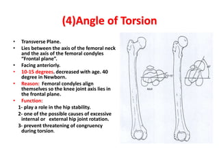 Transverse Hip Rotation hip biomechanics, a simple presentation for beginners | PPT