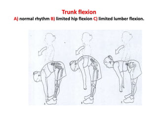 hip biomechanics, a simple presentation for beginners | PPT