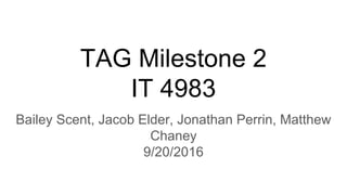 TAG Milestone 2
IT 4983
Bailey Scent, Jacob Elder, Jonathan Perrin, Matthew
Chaney
9/20/2016
 