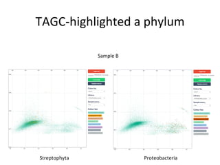 TAGC-­‐highlighted	
  a	
  phylum	
  
Sample	
  B	
  
Proteobacteria	
  Streptophyta	
  
 