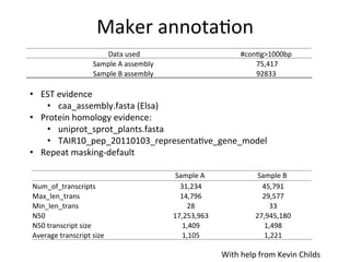 Maker	
  annota,on	
  
	
  Data	
  used	
   #con,g>1000bp	
  
Sample	
  A	
  assembly	
   	
  75,417	
  
Sample	
  B	
  assembly	
   92833	
  
•  EST	
  evidence	
  
•  caa_assembly.fasta	
  (Elsa)	
  
•  Protein	
  homology	
  evidence:	
  
•  uniprot_sprot_plants.fasta	
  	
  
•  TAIR10_pep_20110103_representa,ve_gene_model	
  
•  Repeat	
  masking-­‐default	
  
	
  	
   Sample	
  A	
   Sample	
  B	
  
Num_of_transcripts	
   	
  31,234	
  	
   	
  45,791	
  	
  
Max_len_trans	
   	
  14,796	
  	
   	
  29,577	
  	
  
Min_len_trans	
   	
  28	
  	
   	
  33	
  	
  
N50	
   	
  17,253,963	
  	
   	
  27,945,180	
  	
  
N50	
  transcript	
  size	
   	
  1,409	
  	
   	
  1,498	
  	
  
Average	
  transcript	
  size	
   	
  1,105	
  	
   	
  1,221	
  	
  
With	
  help	
  from	
  Kevin	
  Childs	
  
 