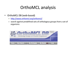 OrthoMCL	
  analysis	
  
•  OrthoMCL	
  DB	
  (web-­‐based)	
  
–  hpp://www.orthomcl.org/orthomcl/	
  	
  
–  search	
  against	
  predeﬁned	
  sets	
  of	
  orthologous	
  groups	
  from	
  a	
  set	
  of	
  
organisms	
  
 
