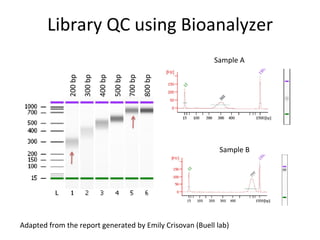 200	
  bp	
  
300	
  bp	
  
400	
  bp	
  
500	
  bp	
  
700	
  bp	
  
800	
  bp	
  
Library	
  QC	
  using	
  Bioanalyzer	
  	
  
Sample	
  A	
  
Sample	
  B	
  
Adapted	
  from	
  the	
  report	
  generated	
  by	
  Emily	
  Crisovan	
  (Buell	
  lab)	
  	
  
 