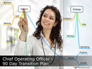 Chief Operating Officer -
90 Day Transition Plan      AllieGentry.com
                            AllieGentry.com
 