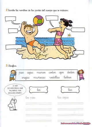 90 ejercicios para repasar ortografía y gramática | PDF