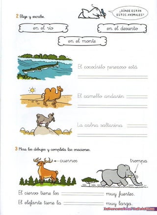90 ejercicios para repasar ortografía y gramática | PDF