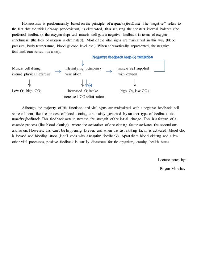 biological hierarchy and homeostasis