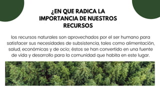 ¿EN QUE RADICA LA
IMPORTANCIA DE NUESTROS
RECURSOS


los recursos naturales son aprovechados por el ser humano para
satisfacer sus necesidades de subsistencia, tales como alimentación,
salud, económicas y de ocio; éstos se han convertido en una fuente
de vida y desarrollo para la comunidad que habita en este lugar.
 