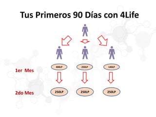 Tus Primeros 90 Días con 4Life
400LP
1er Mes
2do Mes 250LP 250LP 250LP
250LP 140LP
 