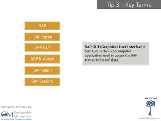 SAPinsight16
www.SAPinsight.com
SAP System Provided by:
SAP
SAP GUI
SAP Instance
SAP Client
SAP Session
SAP Portal
SAP GUI (Graphical User Interface):
SAP GUI is the local computer
application used to access the SAP
transactions and data.
Tip 3 – Key Terms
 