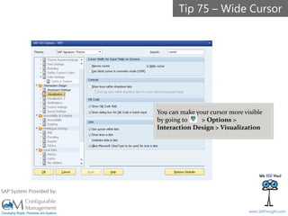 SAPinsight16
www.SAPinsight.com
SAP System Provided by:
You can make your cursor more visible
by going to > Options >
Interaction Design > Visualization
Tip 75 – Wide Cursor
 
