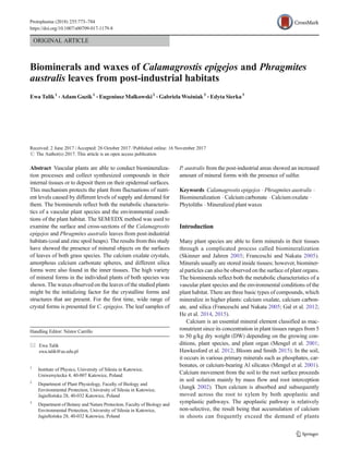 ORIGINAL ARTICLE
Biominerals and waxes of Calamagrostis epigejos and Phragmites
australis leaves from post-industrial habitats
Ewa Talik1
& Adam Guzik1
& Eugeniusz Małkowski2
& Gabriela Woźniak3
& Edyta Sierka3
Received: 2 June 2017 /Accepted: 26 October 2017 /Published online: 16 November 2017
# The Author(s) 2017. This article is an open access publication
Abstract Vascular plants are able to conduct biomineraliza-
tion processes and collect synthesized compounds in their
internal tissues or to deposit them on their epidermal surfaces.
This mechanism protects the plant from fluctuations of nutri-
ent levels caused by different levels of supply and demand for
them. The biominerals reflect both the metabolic characteris-
tics of a vascular plant species and the environmental condi-
tions of the plant habitat. The SEM/EDX method was used to
examine the surface and cross-sections of the Calamagrostis
epigejos and Phragmites australis leaves from post-industrial
habitats (coal and zinc spoil heaps). The results from this study
have showed the presence of mineral objects on the surfaces
of leaves of both grass species. The calcium oxalate crystals,
amorphous calcium carbonate spheres, and different silica
forms were also found in the inner tissues. The high variety
of mineral forms in the individual plants of both species was
shown. The waxes observed on the leaves of the studied plants
might be the initializing factor for the crystalline forms and
structures that are present. For the first time, wide range of
crystal forms is presented for C. epigejos. The leaf samples of
P. australis from the post-industrial areas showed an increased
amount of mineral forms with the presence of sulfur.
Keywords Calamagrostis epigejos . Phragmites australis .
Biomineralization . Calcium carbonate . Calcium oxalate .
Phytoliths . Mineralized plant waxes
Introduction
Many plant species are able to form minerals in their tissues
through a complicated process called biomineralization
(Skinner and Jahren 2003; Franceschi and Nakata 2005).
Minerals usually are stored inside tissues; however, biominer-
al particles can also be observed on the surface of plant organs.
The biominerals reflect both the metabolic characteristics of a
vascular plant species and the environmental conditions of the
plant habitat. There are three basic types of compounds, which
mineralize in higher plants: calcium oxalate, calcium carbon-
ate, and silica (Franceschi and Nakata 2005; Gal et al. 2012;
He et al. 2014, 2015).
Calcium is an essential mineral element classified as mac-
ronutrient since its concentration in plant tissues ranges from 5
to 50 g/kg dry weight (DW) depending on the growing con-
ditions, plant species, and plant organ (Mengel et al. 2001;
Hawkesford et al. 2012; Bloom and Smith 2015). In the soil,
it occurs in various primary minerals such as phosphates, car-
bonates, or calcium-bearing Al silicates (Mengel et al. 2001).
Calcium movement from the soil to the root surface proceeds
in soil solution mainly by mass flow and root interception
(Jungk 2002). Then calcium is absorbed and subsequently
moved across the root to xylem by both apoplastic and
symplastic pathways. The apoplastic pathway is relatively
non-selective, the result being that accumulation of calcium
in shoots can frequently exceed the demand of plants
Handling Editor: Néstor Carrillo
* Ewa Talik
ewa.talik@us.edu.pl
1
Institute of Physics, University of Silesia in Katowice,
Uniwersytecka 4, 40-007 Katowice, Poland
2
Department of Plant Physiology, Faculty of Biology and
Environmental Protection, University of Silesia in Katowice,
Jagiellońska 28, 40-032 Katowice, Poland
3
Department of Botany and Nature Protection, Faculty of Biology and
Environmental Protection, University of Silesia in Katowice,
Jagiellońska 28, 40-032 Katowice, Poland
Protoplasma (2018) 255:773–784
https://doi.org/10.1007/s00709-017-1179-8
 