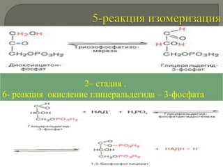 Электронный слайд-лекции №9 (1) Обмен углеводов.pptx